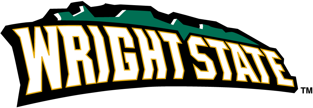 Wright State Raiders 2001-Pres Wordmark Logo v2 diy fabric transfer